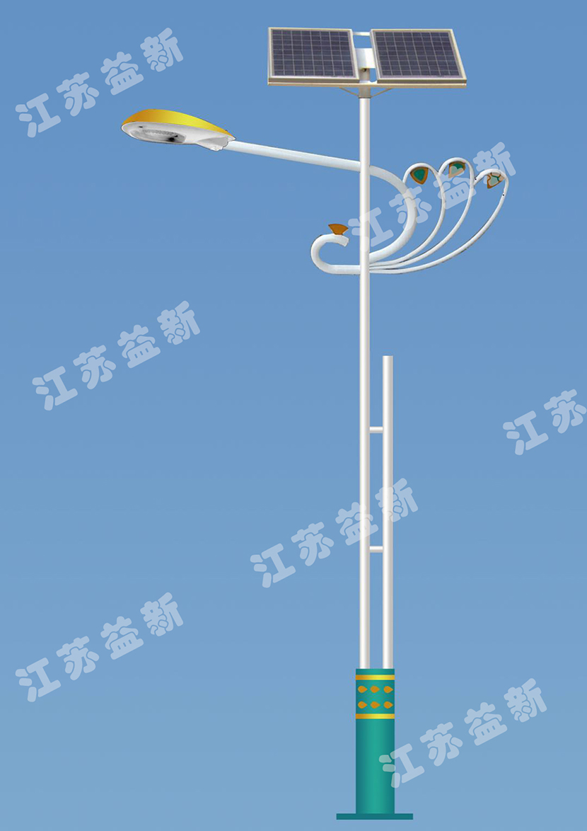 新农村_特色太阳能路灯