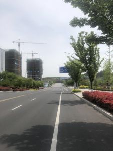 【LED路灯项目案例】青岛某主干路路灯工程项目