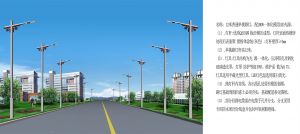 【定制路灯案例】新疆阿拉尔经济开发区路灯工程